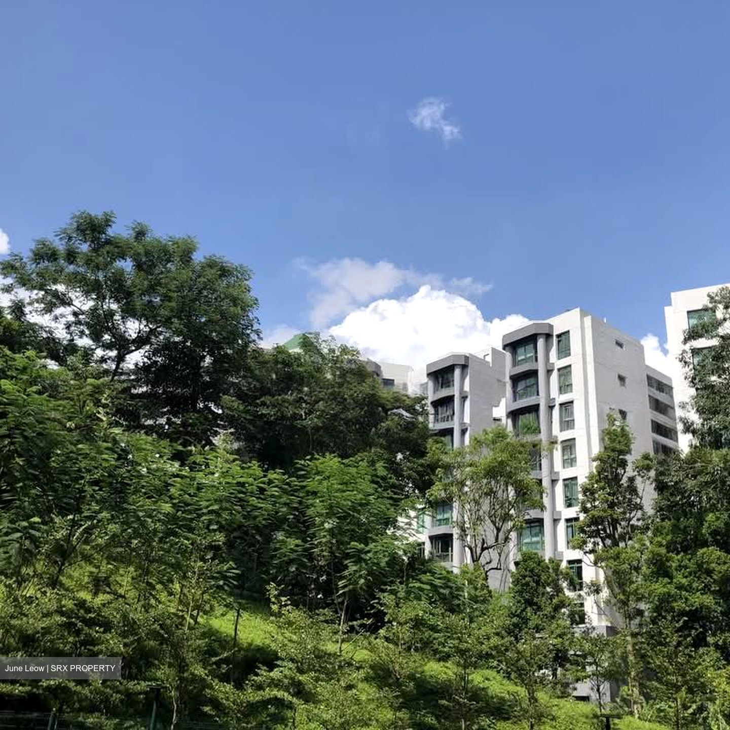 FORETT AT BUKIT TIMAH (D21), Apartment #567966181